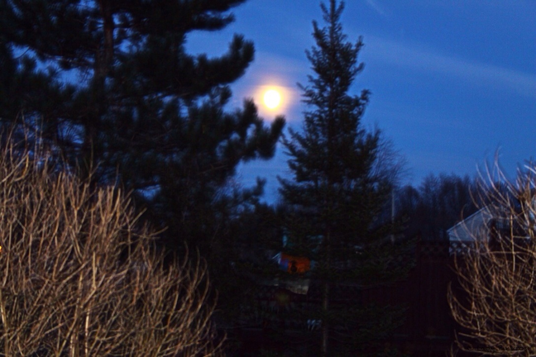 Full Moon November 16, 2013, approx. 5:30pm EST. 